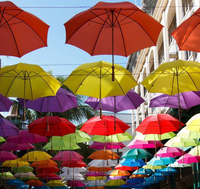 Ang pagpapakilala ng Sunny umbrella